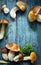 Mushrooms cep in autumn season; fresh wild mushrooms and knife on grey wooden table