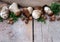 Mushrooms ceps, nuts and herbs. Copyspace above