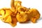 Mushrooms chanterelle ( Cantharellus cibarius )