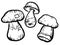 Mushrooms drawn with a black outline in the doodle style. Mushroom icons, autumn mushrooms. Black and white vector