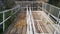 Mushrooms are dried on a bridge in Longqing Gorge in China.