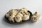 Mushrooms on earthenware plate