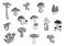 Mushrooms edible champignons, morel vector icons