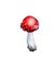 Mushrooms, edible mushrooms and toadstools, forest mushrooms. Watercolor illustration, handmade.