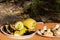 Mushrooms, eggplant and zucchini fried on the grill lie on plates in the summer at a picnic on a twist in the forest, lunch in