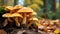 Mushrooms flourishing together on the ground, a natural marvel of fungal growth, Ai Generated