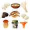 Mushrooms food products, soup or preserves package