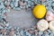 Mushrooms, garlic and lemon on a grey wooden background. Stones, blue and red granite