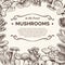 Mushrooms. Hand drawn mushroom champignon, truffle, porcini and chanterelle, shiitake, vintage sketch for menu