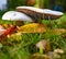 Mushrooms on a meadow which are standing very close to each other