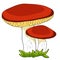 The is a mushrooms oiler. vector illustration