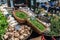 Mushrooms sold at Borough Market in London, UK