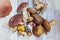 Mushrooms on the table, flat lay , autumn, mushroom background top view , porcini and brown