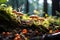 Mushrooms of various shapes and sizes emerge from the damp forest floor. AI Generated