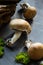 Mushrooms, wood and moss on slate background