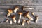 Mushrooms on wooden background - top view - edible mushrooms - porcini, boletus, orange-cap boletus