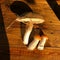 Mushrooms on a wooden table. Porcini mushroom and orange-cup boletus in the sunset light