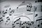Music camp. Music notes on paper, musical composition in notes