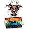 Music cassette tape headphone dog