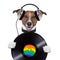 Music headphone vinyl record dog