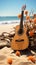 Music meets nature as an acoustic guitar harmonizes with the tranquil sand.