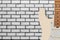 Musical instrument - Silhouette electric guitar white brick wall
