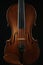 Musical instruments violin