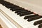 Musical journey. Side view of piano keyboard with black and white keys. Musical instrument