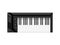 Musical Keyboard instrument. Isolated image of a keyboard. Vector illustration - musician equipment. Tool for music