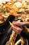 A musician girl tunes a saxophone. Close-up of a golden saxophone in a case against a background of yellow leaves