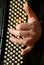 Musician hand playing accordion