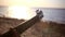 Musician hand playing guitar in the beach during