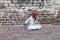 Musician in Mehrangarh Fort - Jodhpur, Rajasthan, India