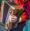 The musician playing the accordion. Close-up detail of hand