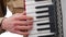 Musician playing the accordion. Hand playing accordions closeup. Accordion player.