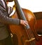 Musician playing contrabass