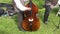 Musician playing with contrabass in agriculture fair