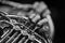 Musician\'s fingers playing the french horn