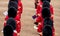 Musician soldiers at the annual iconic Trooping the Colour parade at Horse Guards, London UK