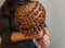 Musician woman playing on calabash maracas, Exotic female Performing Hawaiian Music, close-up photography