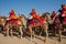 Musicians going to the colorful camel Desert Festival