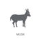 Musk icon. Trendy Musk logo concept on white background from animals collection