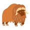 Musk-ox. Flat cartoon vector illustration