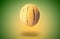 Muskmelon Cucumis melo on green orange background copy space