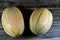 Muskmelon, Cucumis melo or melon, a species of Cucumis that has been developed into many cultivated varieties. The fruit is a pepo