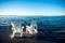 Muskoka Chairs on a dock with sun rising and mist