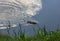 Muskrat floats on water. the water reflects