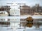 Muskrat sitting on an ice floe in front of a white ship in soft focus