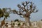 Muslim and Christian graveyard in Joal-Fadiouth, Petite CÃ´te, Senegal