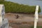 Muslim and Christian graveyard in Joal-Fadiouth, Petite CÃ´te, Senegal